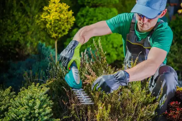landscaping services Thomaston